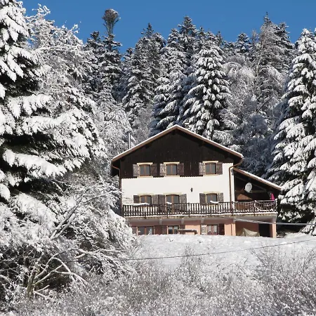 Le Chalet Vosgien Bain Nordique Kota Grill Gerardmer Exterior photo