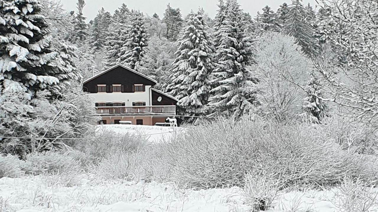Chalet Le Vosgien Bain Nordique Kota Grill